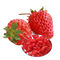 अत्यधिक पोषण सूखे फल स्नैक्स, फ्रीज सूखे स्ट्रॉबेरी कोई चीनी जोड़ा गया