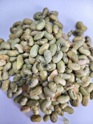 Vegan Soya Bean Snacks with Logo Service No Food Additive Healthy Plant Based Protein Rich Snack Alternative