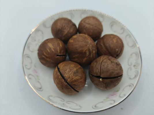 मैकाडामिया नट्स