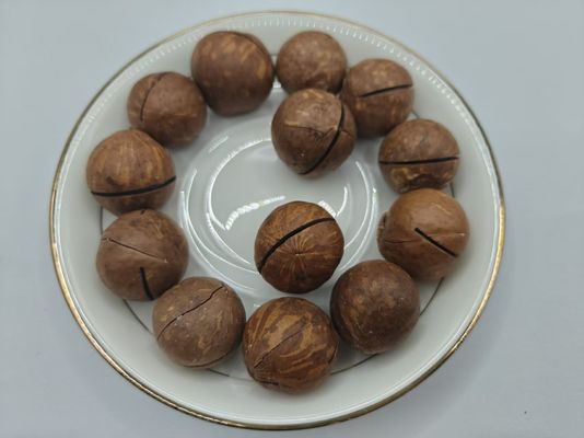 मैकाडामिया नट्स
