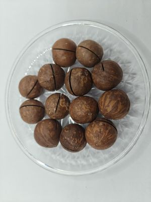 मैकाडामिया नट्स