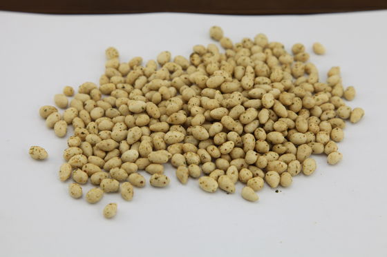 कोशेर प्रमाणित सूरजमुखी के बीज स्नैक, भुना हुआ सूरजमुखी कर्नेल स्वादिष्ट स्वाद