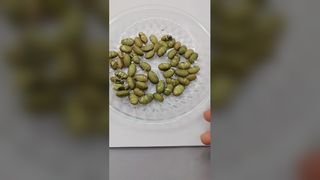 हरी चौड़ी फलियाँ